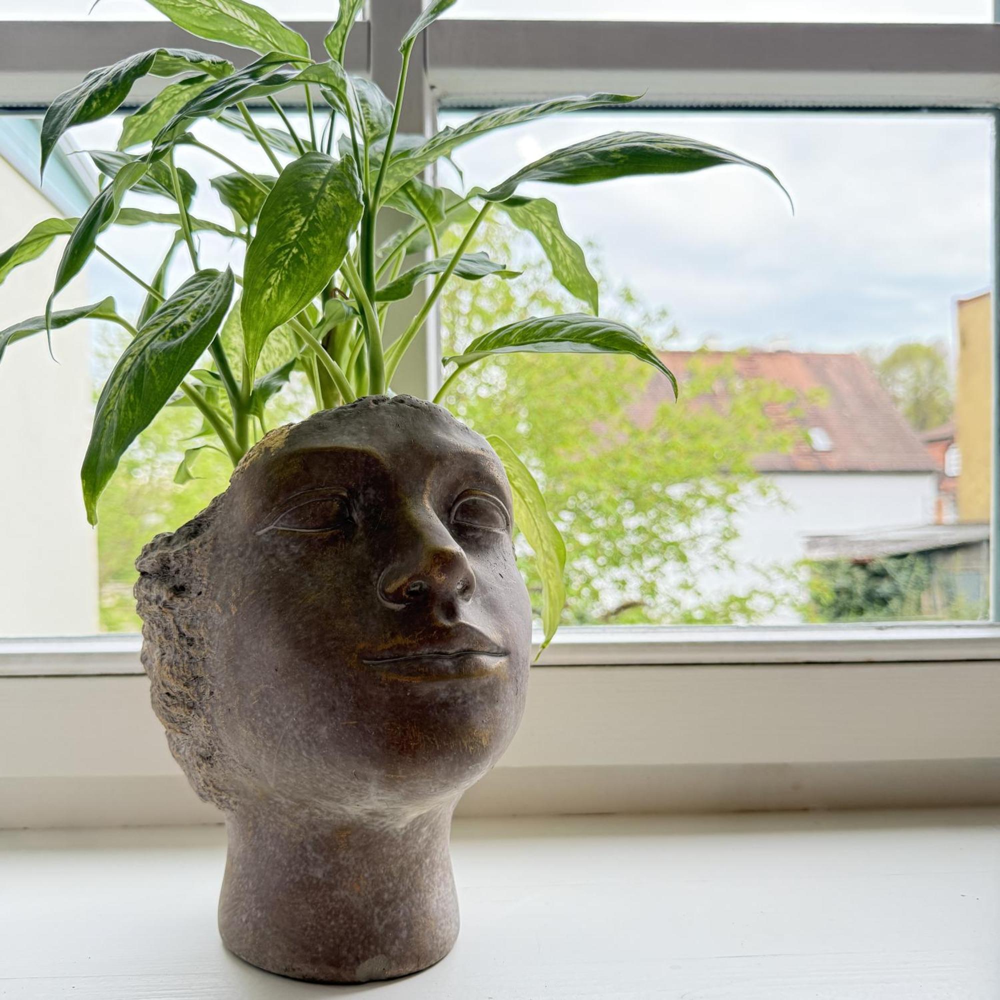 Neu Bella Nella - Zentral, Ruhig, Gruen Apartment Bamberg